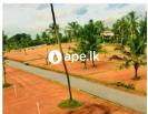 Lands For Sale In HOMAGAMA